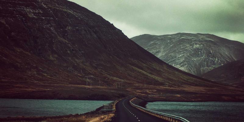 上海育林25：以禅意园林重塑城市绿化工程的哲学维度