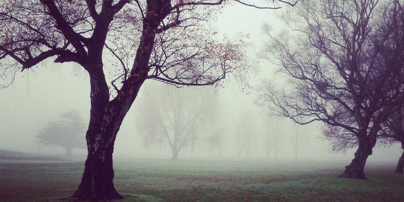 上海育林52：于都市繁华中，营造一方静谧的日式园林美学