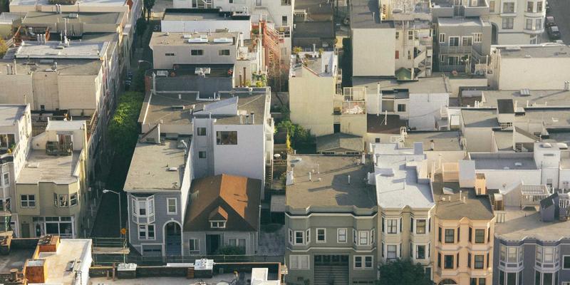 上海育林80：融合日式园林美学与现代景观设计的绿化工程典范