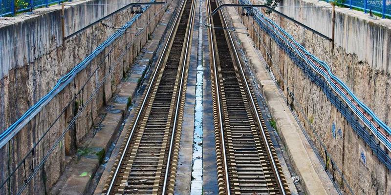 上海育林84:当绿化工程邂逅日式园林美学,重塑城市景观设计新范式