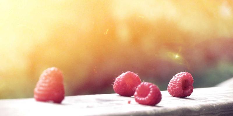 上海育林：以日式园林美学与专业绿化工程，重塑产业园区的生态休憩空间