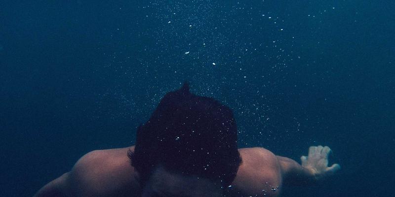 上海育林：以禅意园林理念重塑城市空间，屋顶与垂直绿化创新实践