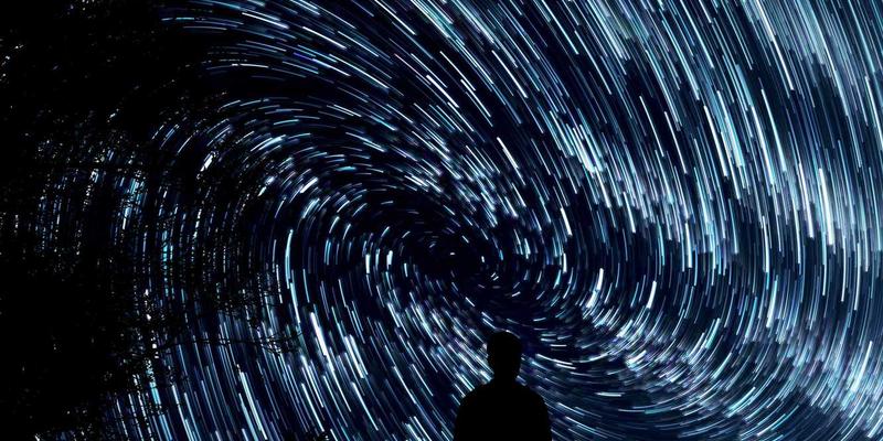 上海育林入门：融合景观规划与禅意园林的现代都市造园艺术