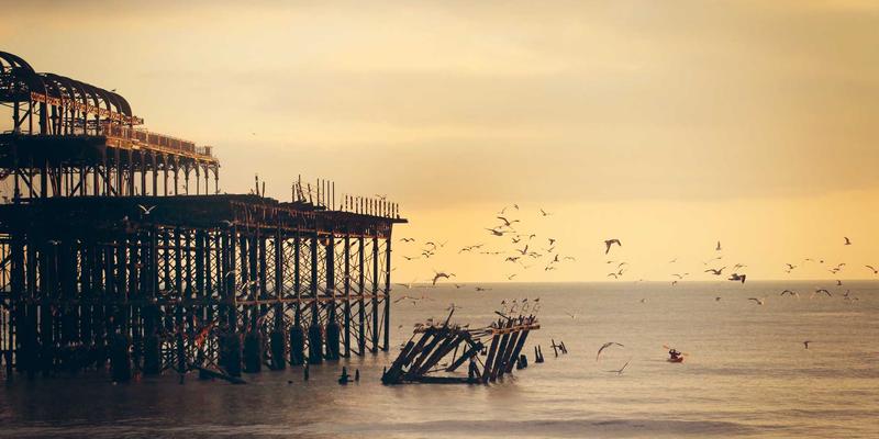 上海育林垂直绿化技术解析：从景观规划到施工落地的全流程要点