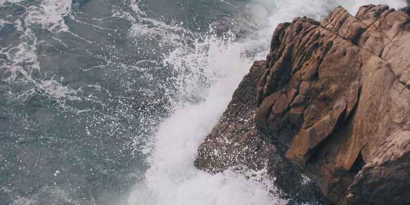 上海育林如何以地方文化IP为核心，打造文旅项目的主题景观叙事设计？—— 从绿化工程到日式园林的深度实践