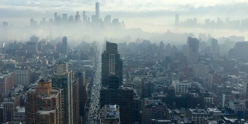 上海育林教程：融合日式园林美学与现代绿化工程的景观设计艺术