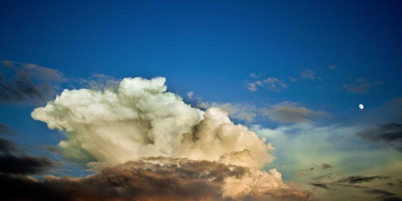 上海育林智慧园林实践：物联网技术如何重塑禅意园林的养护与节水灌溉