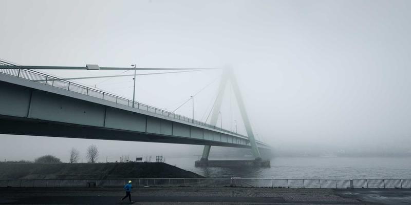 上海育林最佳实践：探索园林绿化与景观规划的艺术与科学