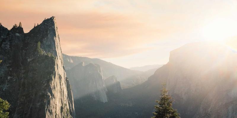 上海育林案例深度解析：景观设计、绿化工程与景观规划的协同实践