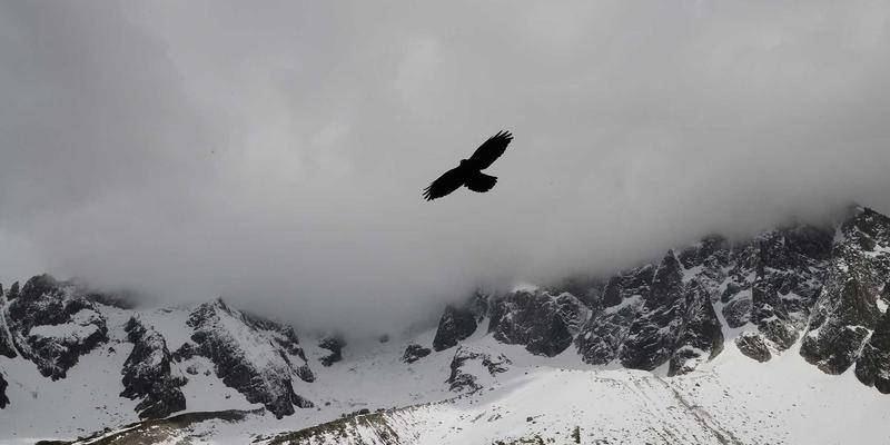 上海育林生态驳岸设计：融合日式园林美学的城市河道生态修复实践