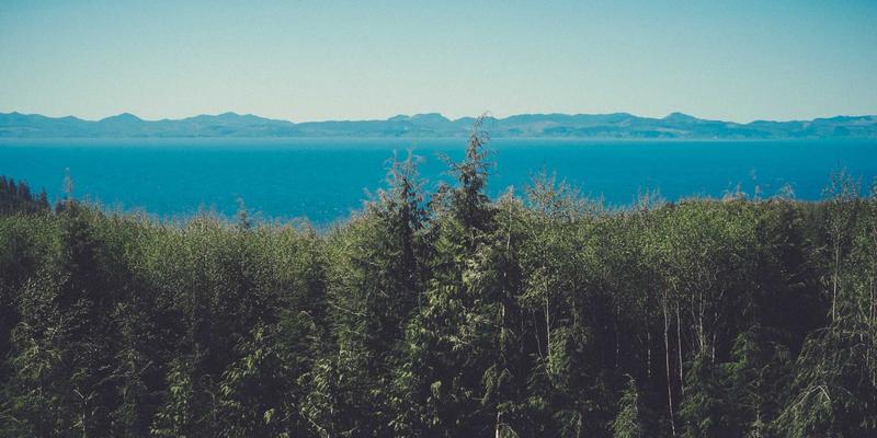 从禅意园林到生态基石：上海育林乡土植物数据库如何重塑城市生物多样性