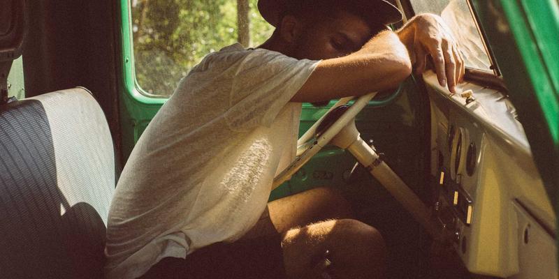 从设计到养护：上海育林园林绿化项目的全周期成本控制策略