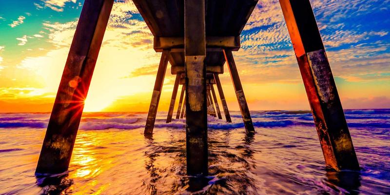 应对城市热岛效应：上海育林如何运用日式园林智慧打造立体绿化解决方案