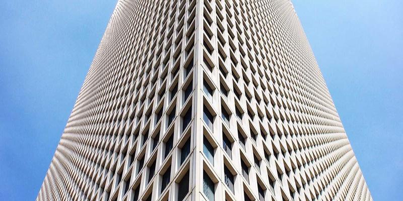 打造禅意办公空间：上海育林办公楼绿化工程与室内植物租赁解决方案