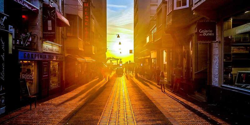 智慧灌溉系统如何重塑上海育林市政绿化项目：景观规划与禅意园林的节能实践