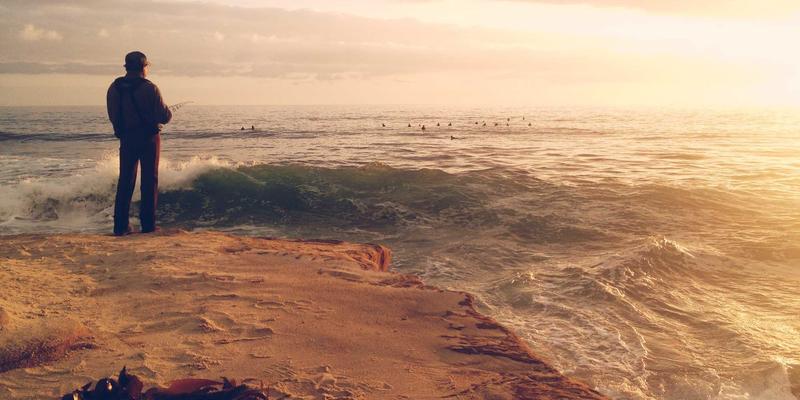 禅意园林与社区新生：上海育林在老旧小区绿化改造中的实践与挑战