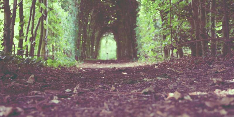 禅意园林赋能现代建筑：上海育林如何通过垂直绿化设计提升办公楼宇的节能与生态效益