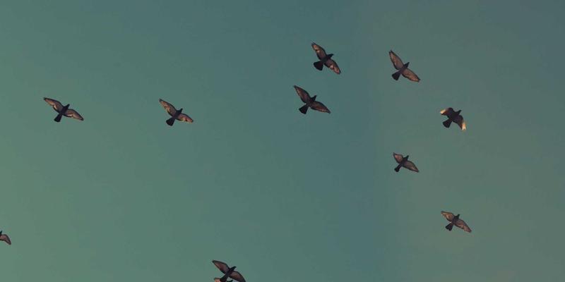 021精密与工业自动化:高精度加工核心技术全解析